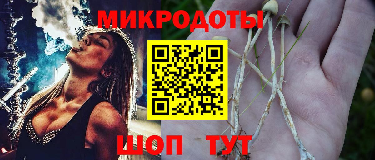 Псилоцибиновые грибы мицелий Бугуруслан